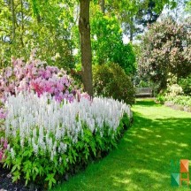 Tranh dán tường cho phòng khách đẹp tại Hà Nội NA - 237